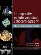Image of the book cover for 'Intraoperative and Interventional Echocardiography'