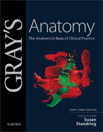 Image of the book cover for 'Gray's Anatomy'