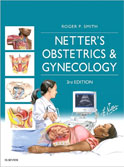 Image of the book cover for 'Netter's Obstetrics & Gynecology'