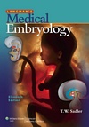 Image of the book cover for 'Langman's Medical Embryology'