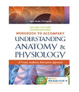 Image of the book cover for 'Workbook to Accompany Understanding Anatomy & Physiology'