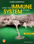 Image of the book cover for 'How the Immune System Works'