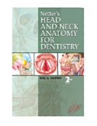 Image of the book cover for 'Netter's Head and Neck Anatomy for Dentistry'