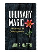 Image of the book cover for 'Ordinary Magic'