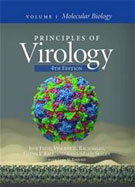 Image of the book cover for 'Principles of Virology, Vols 1&2'