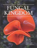 Image of the book cover for 'The Fungal Kingdom'