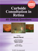Image of the book cover for 'Curbside Consultation in Retina'