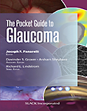 Image of the book cover for 'The Pocket Guide to Glaucoma'