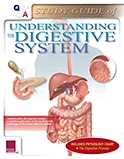 Image of the book cover for 'Q&A Study Guide of Understanding the Digestive System'