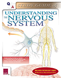 Image of the book cover for 'Q&A Study Guide of Understanding the Nervous System'