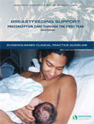 Image of the book cover for 'Breastfeeding Support: Preconception Care Through the First Year'