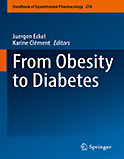 Image of the book cover for 'From Obesity to Diabetes'