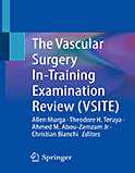 Image of the book cover for 'The Vascular Surgery In-Training Examination Review (VSITE)'