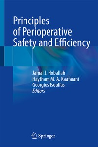Image of the book cover for 'Principles of Perioperative Safety and Efficiency'